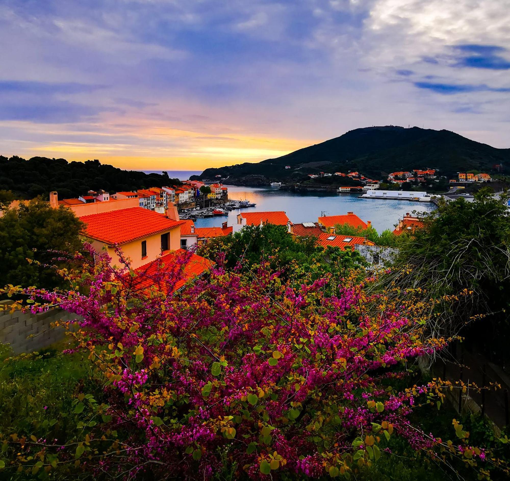 1Br Apartment T2 54M2 Onde Marine 2Nd Floor Lift Wifi Ac Parking Port Vendres Exteriér fotografie